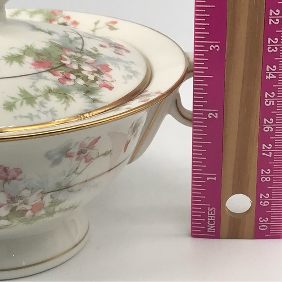 Theodore Haviland 1920 Dogwood floral Vintage Covered dish with Handles - Picture 16 of 16